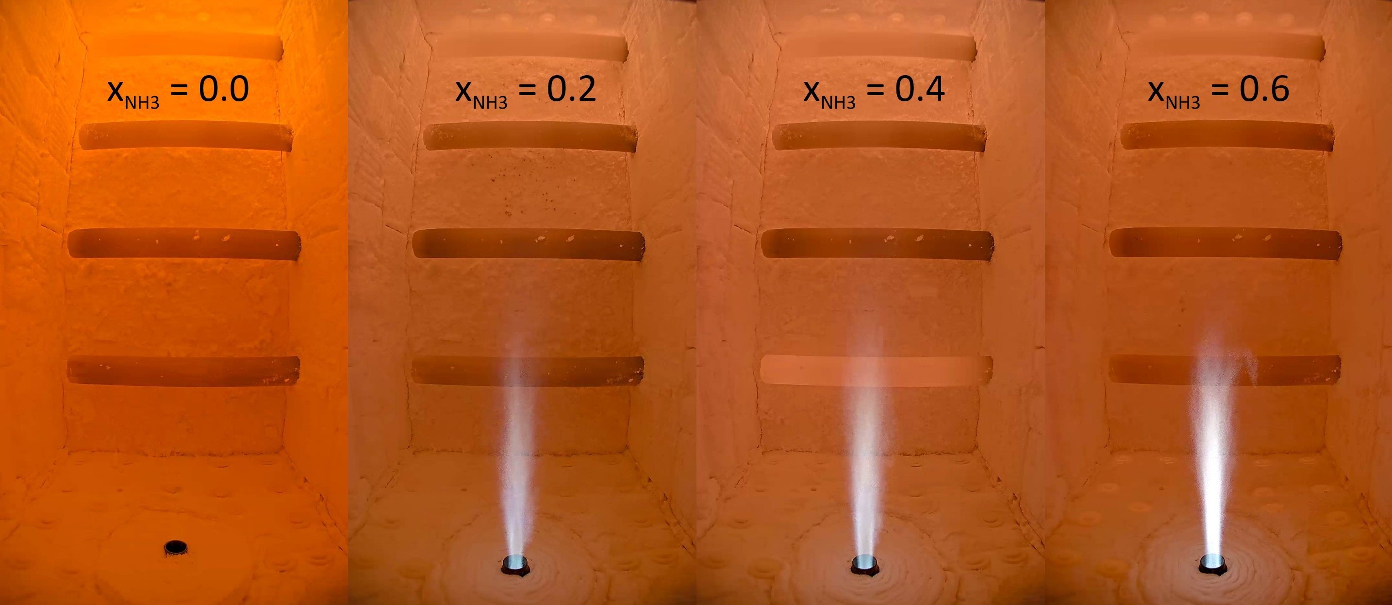 Das Bild zeigt eine Brennkammer in vier nebeneinander angeordneten Aufnahmen. In jedem Bildausschnitt ist ein Brenner sichtbar, der von unten eine Flamme in die Kammer abgibt. Die vier Aufnahmen illustrieren jeweils einen unterschiedlichen Anteil an Ammoniak (NH₃) im Brennstoffgemisch. Die Änderungen der Flammenerscheinung sowie die Farbveränderung der Brennkammerwände verdeutlichen die Auswirkungen des zunehmenden Ammoniakanteils auf den Verbrennungsprozess.